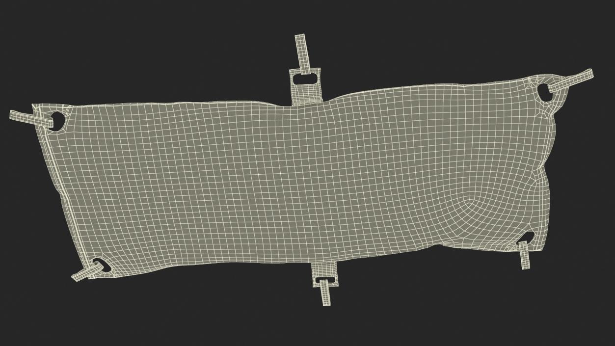 3D Dead Body Bag model