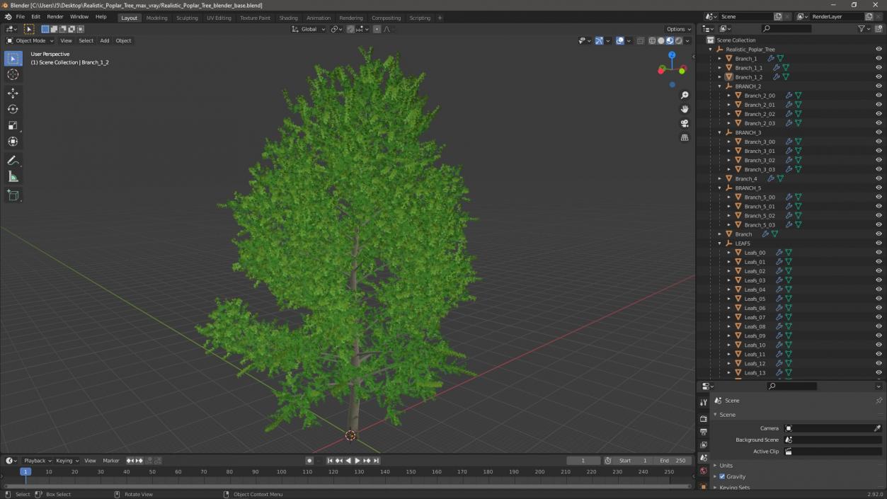 3D Realistic Poplar Tree