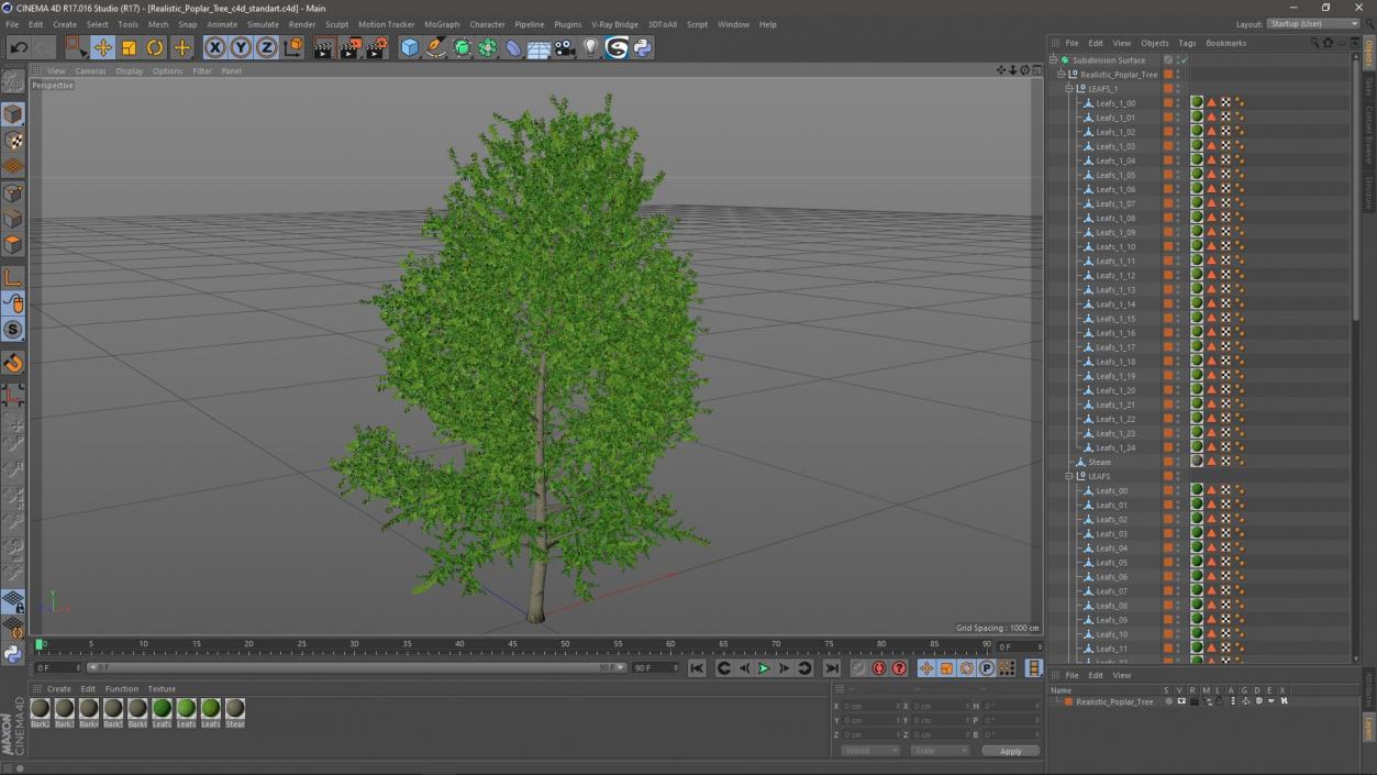 3D Realistic Poplar Tree