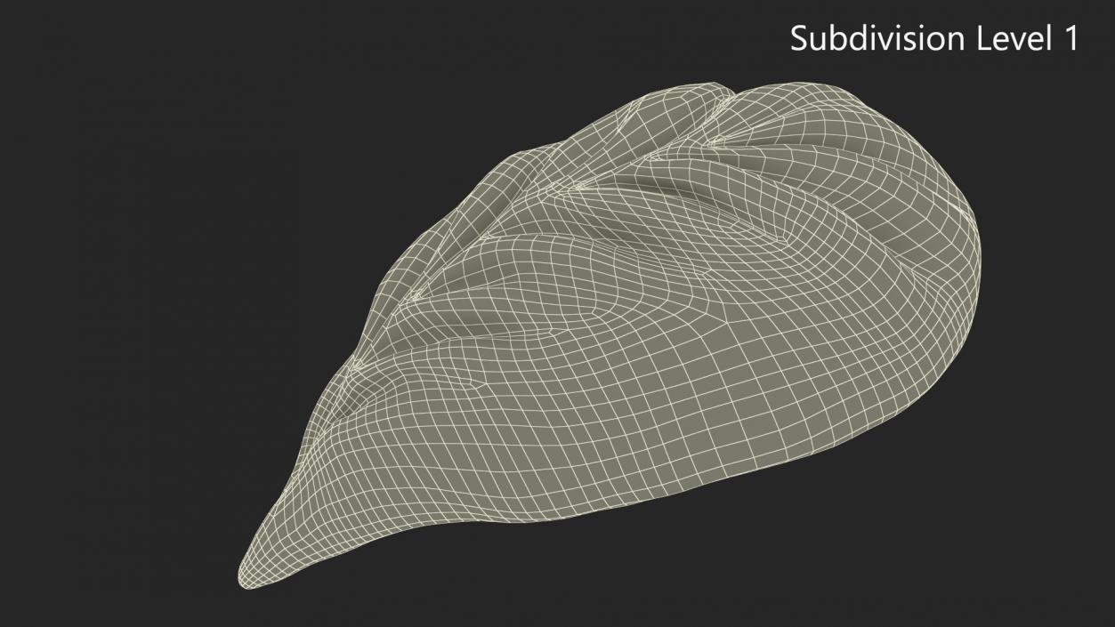 3D Leaf Shaped Dumpling Raw 2