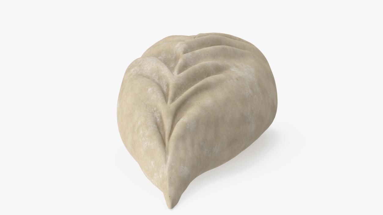 3D Leaf Shaped Dumpling Raw 2