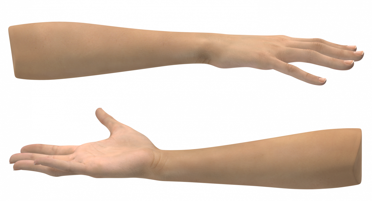 3D Caucasian Female Hand