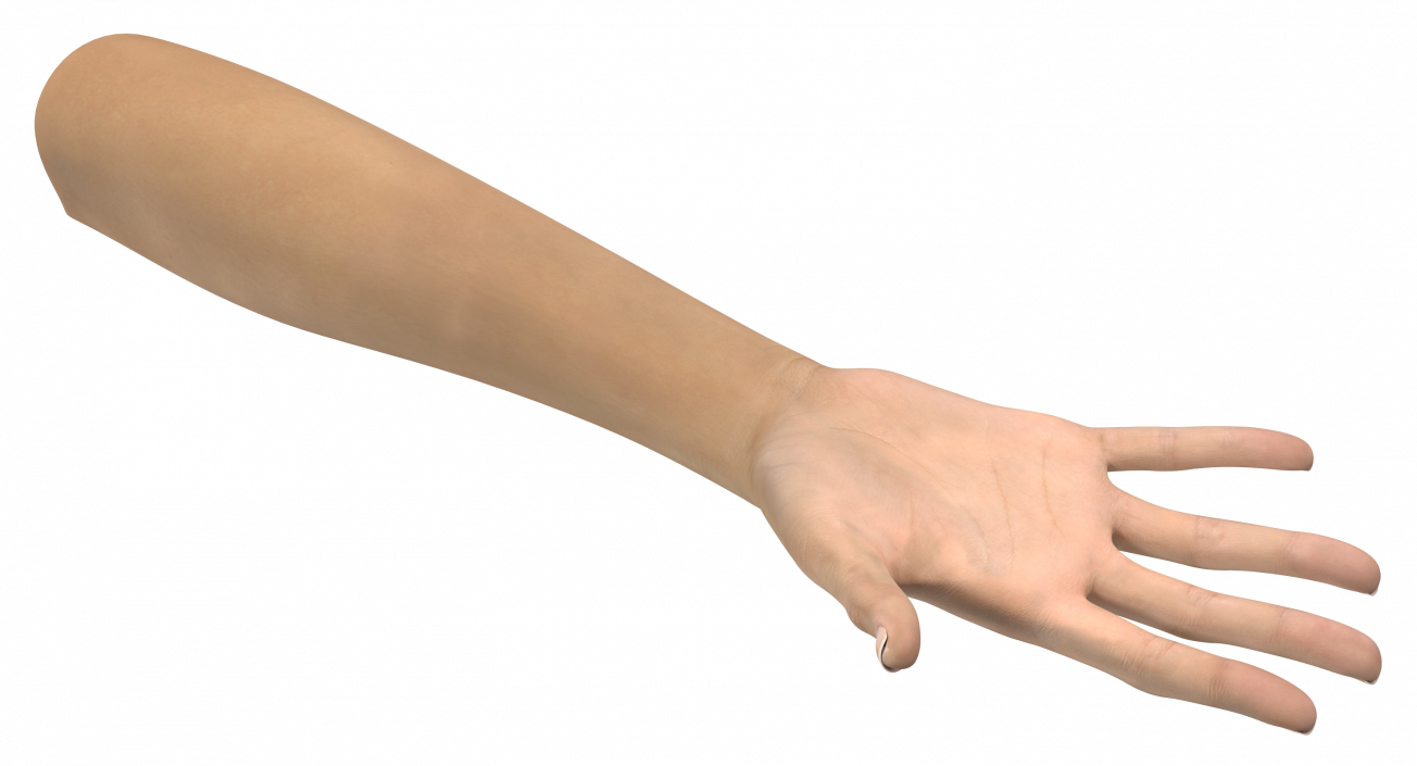 3D Caucasian Female Hand