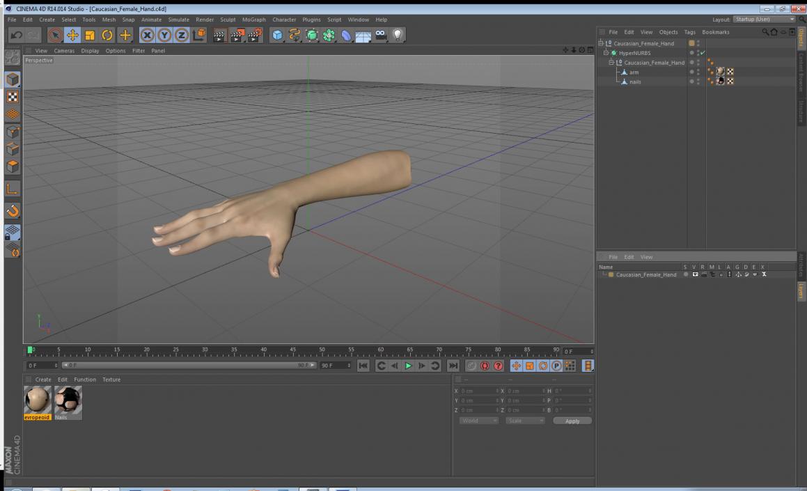 3D Caucasian Female Hand