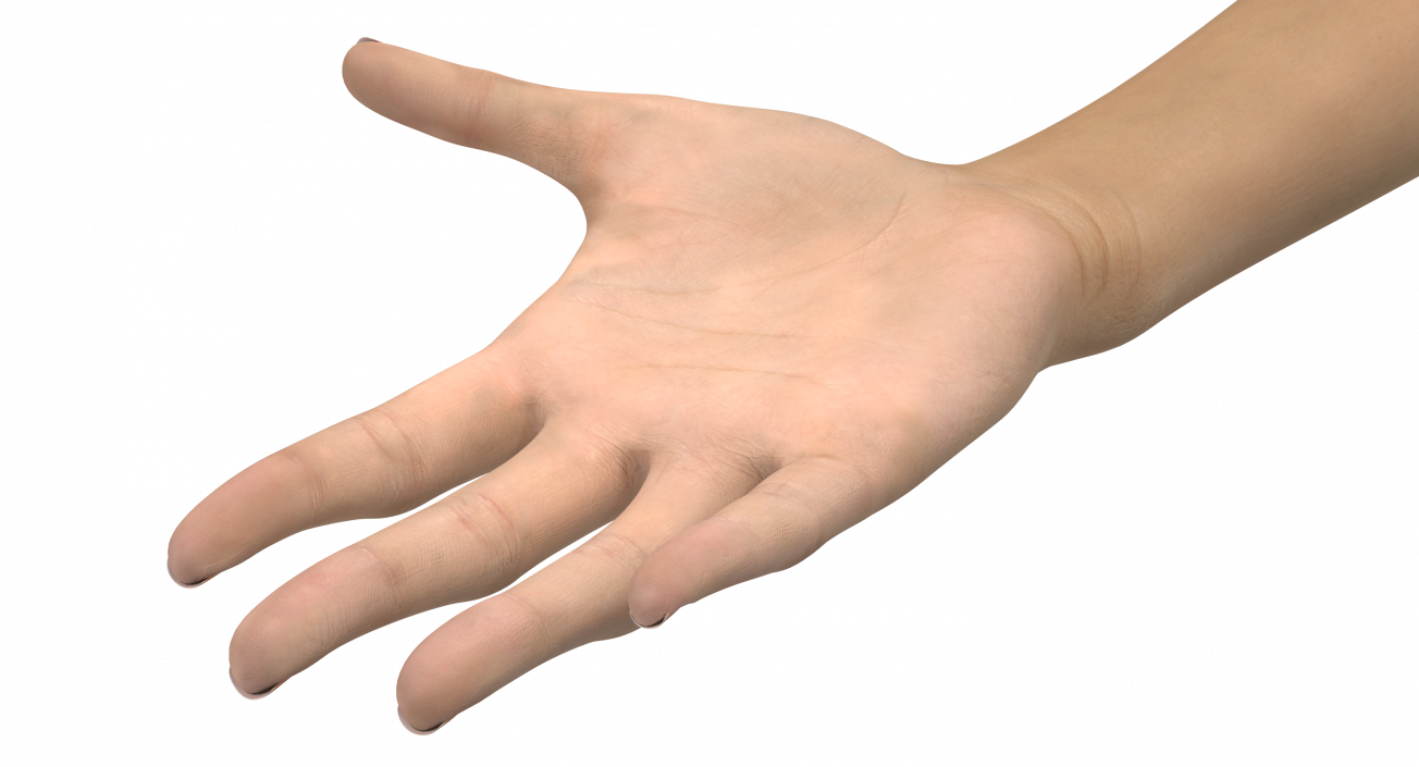 3D Caucasian Female Hand