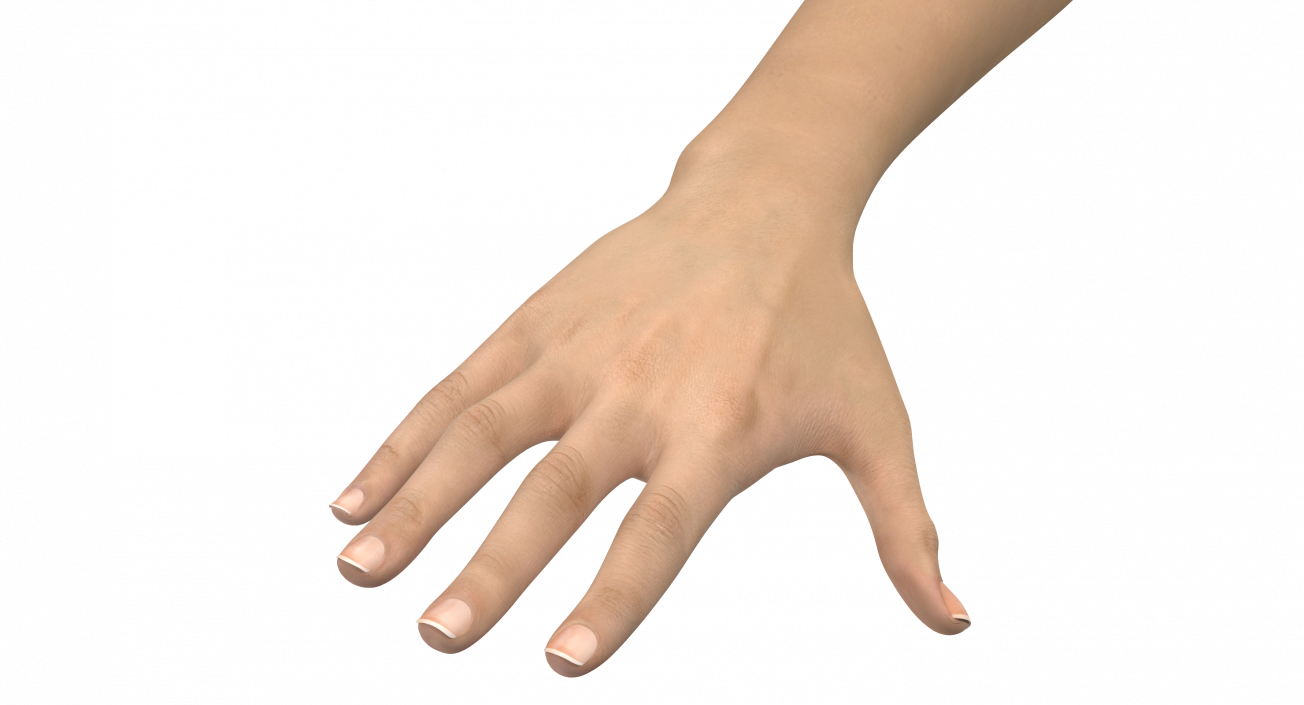 3D Caucasian Female Hand