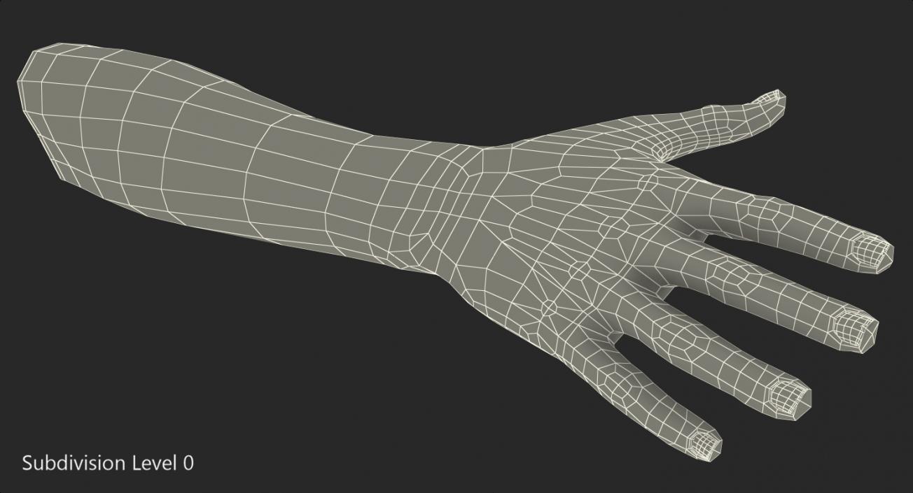 3D Caucasian Female Hand