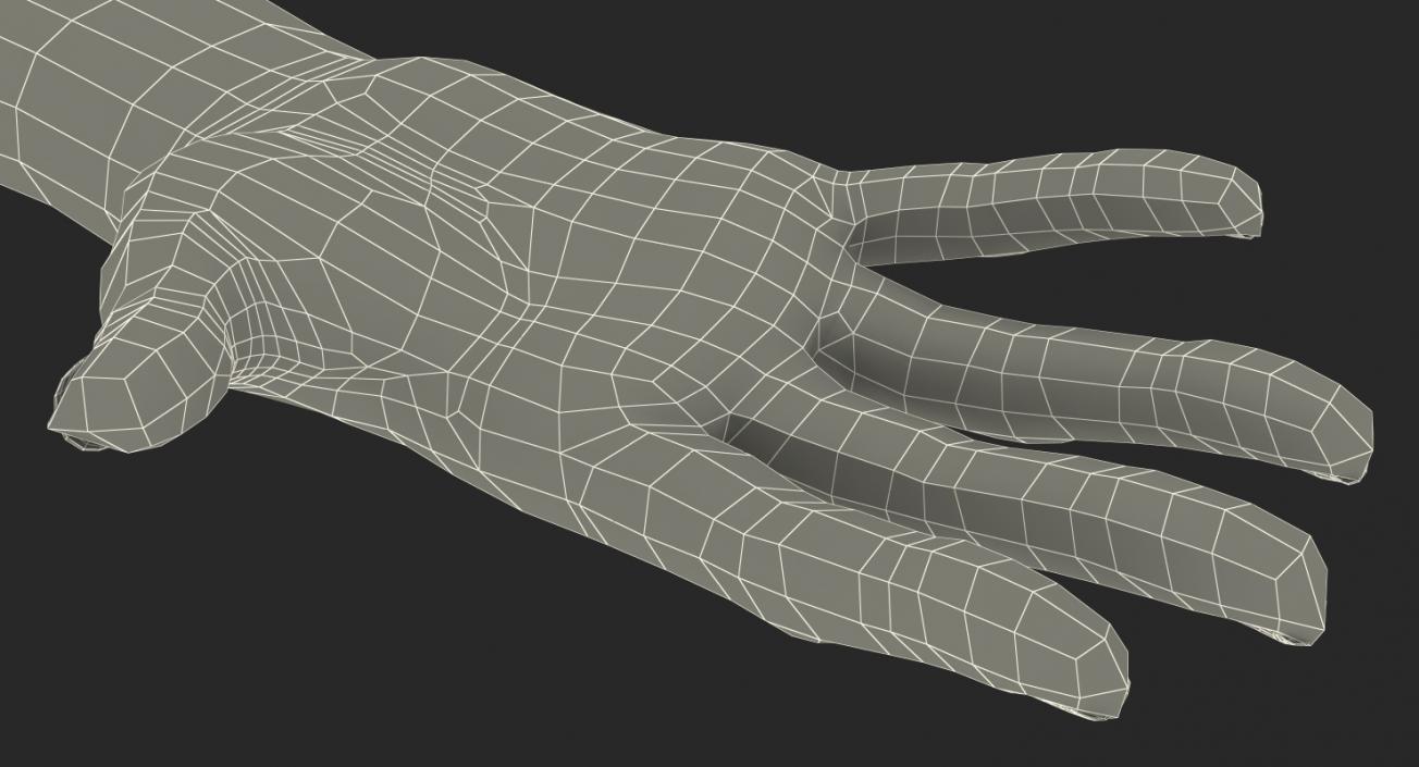 3D Caucasian Female Hand