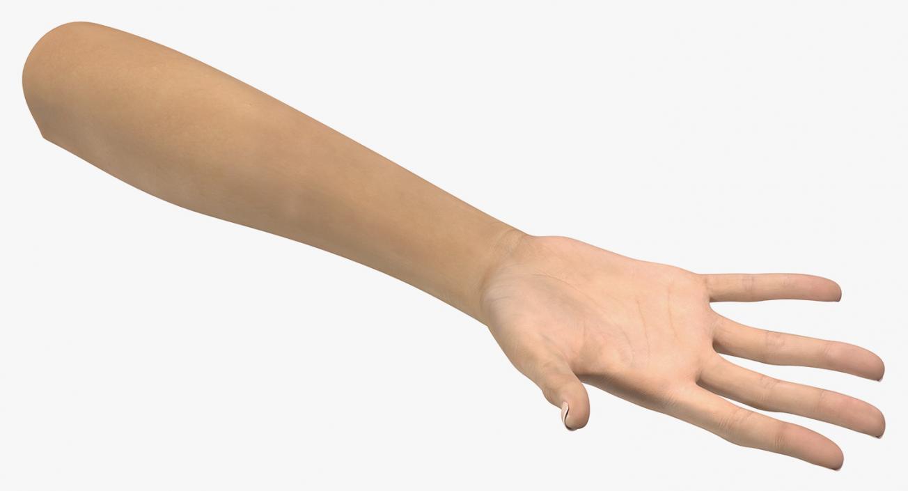 3D Caucasian Female Hand