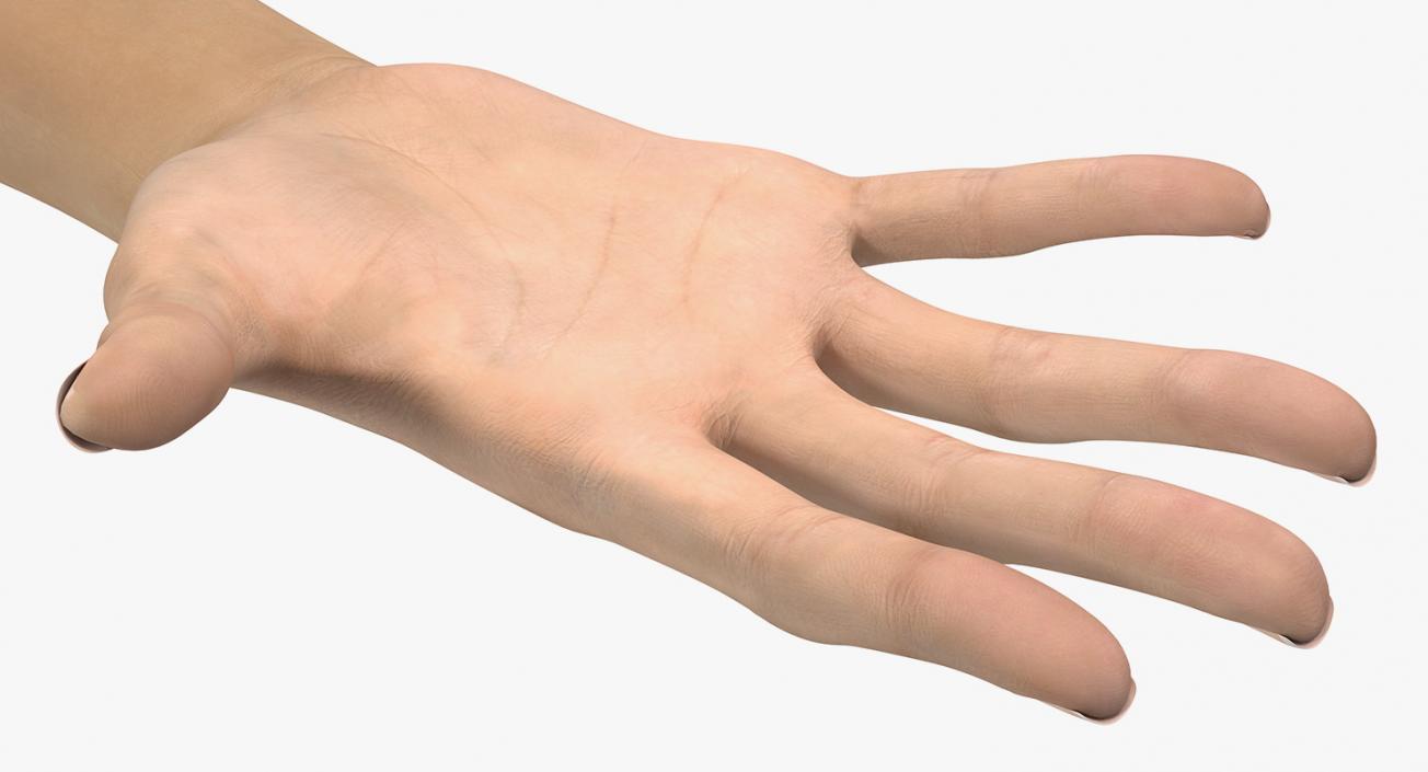 3D Caucasian Female Hand