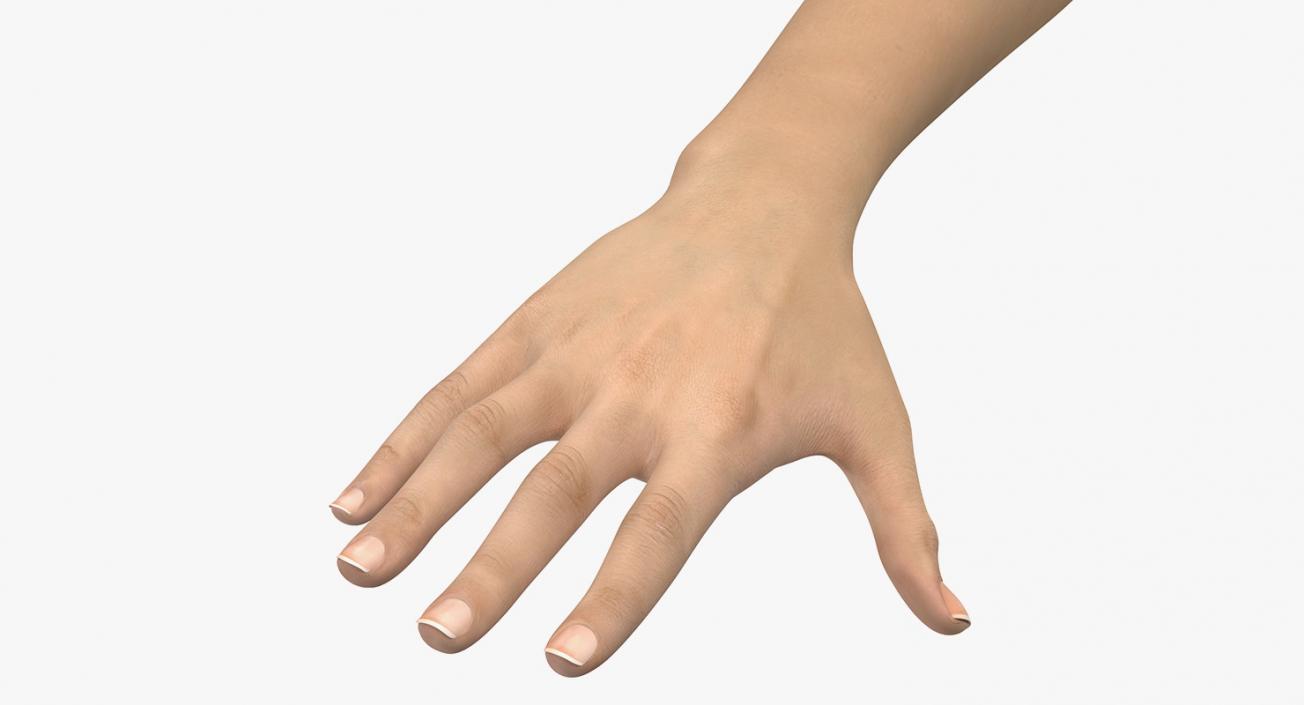 3D Caucasian Female Hand