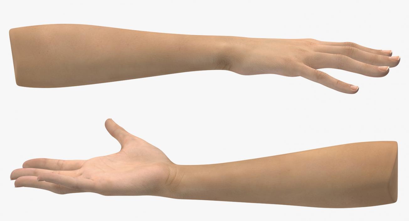 3D Caucasian Female Hand