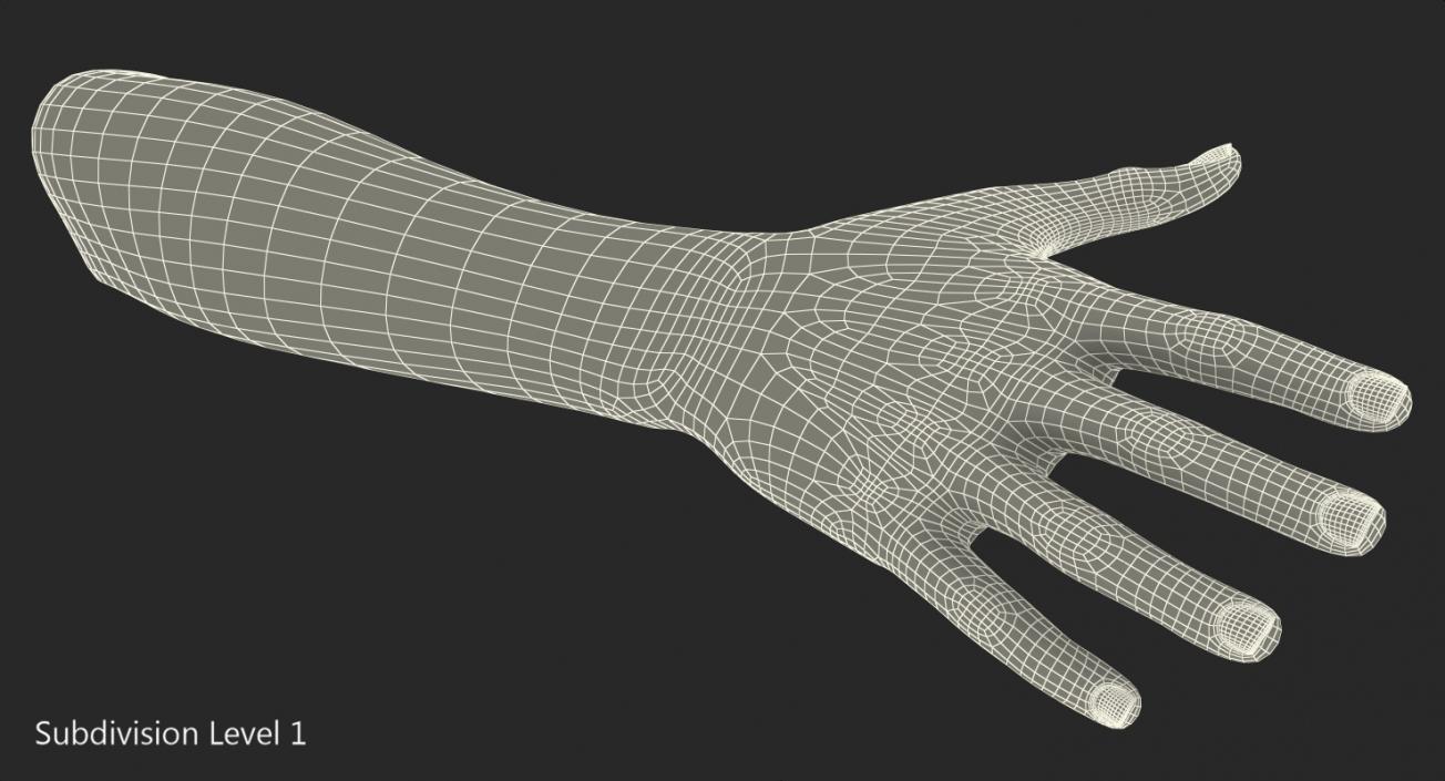 3D Caucasian Female Hand