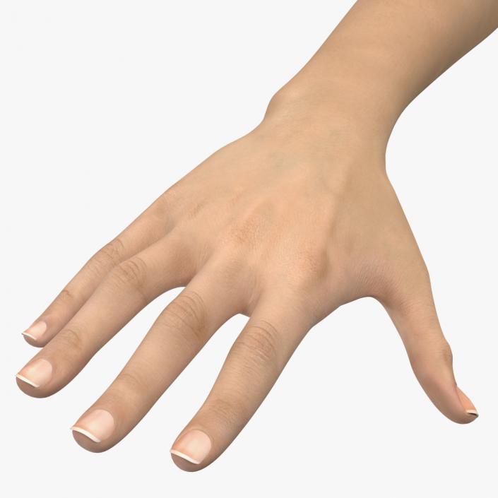 3D Caucasian Female Hand