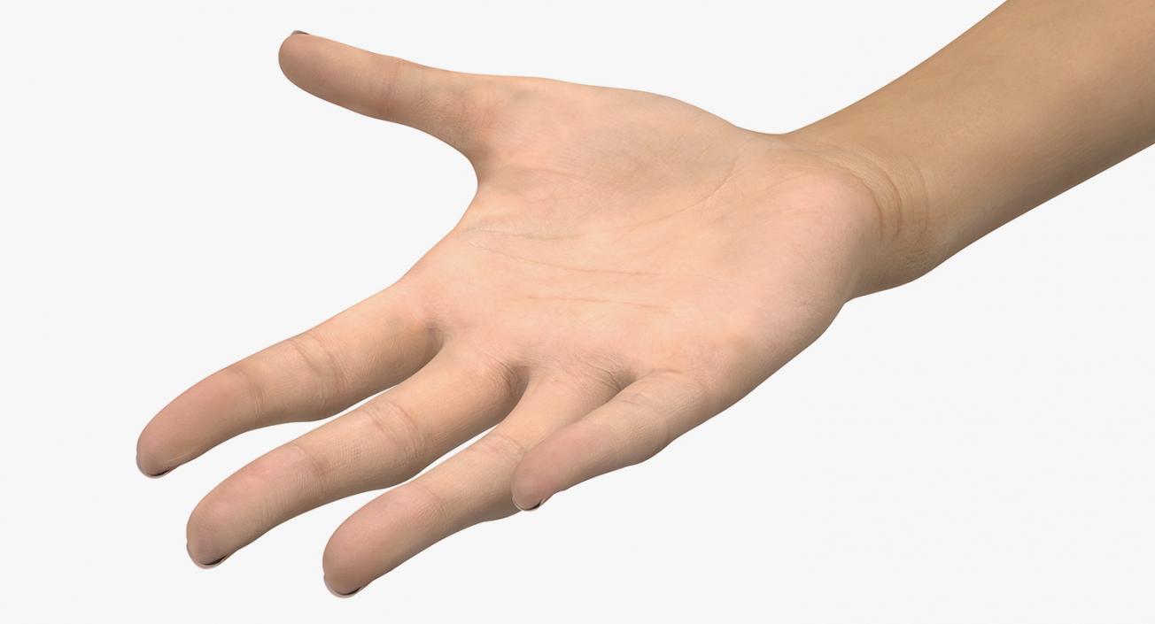 3D Caucasian Female Hand