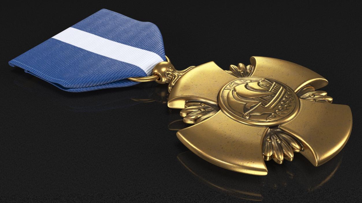 3D Navy Cross Medal