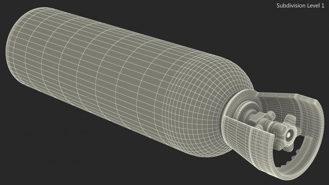 CO2 Cylinder 3D