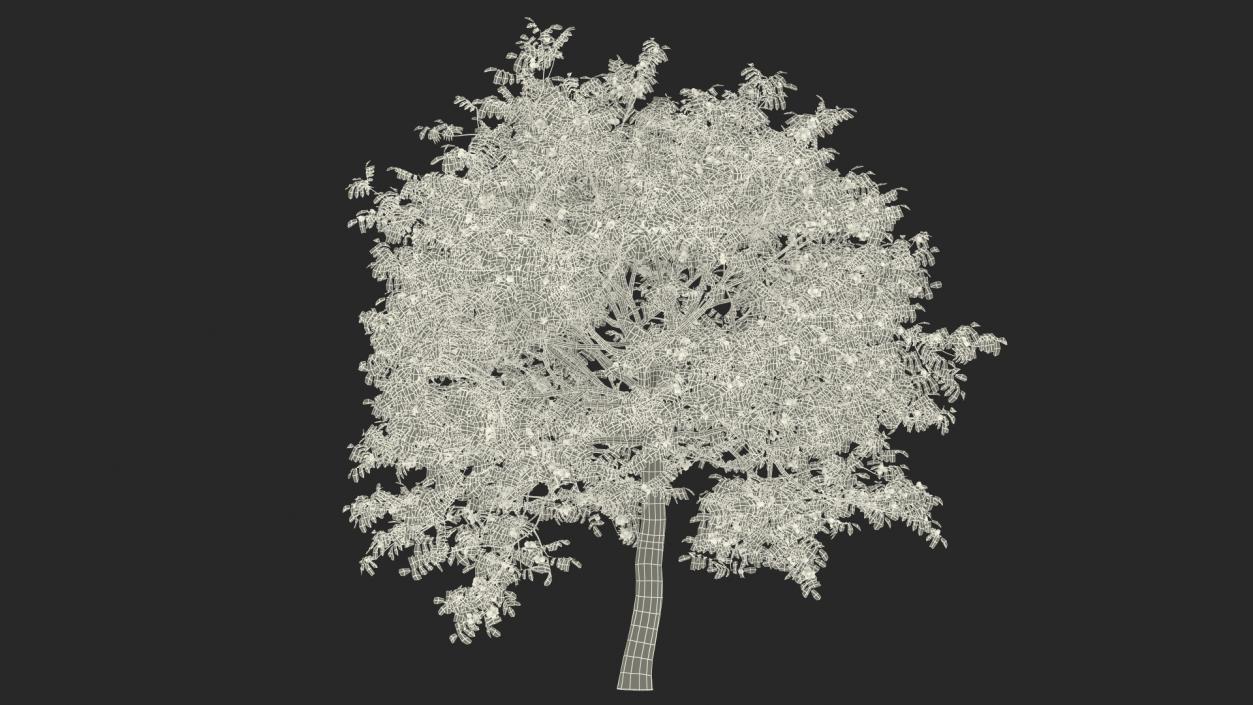 3D Trees with Nuts Collection