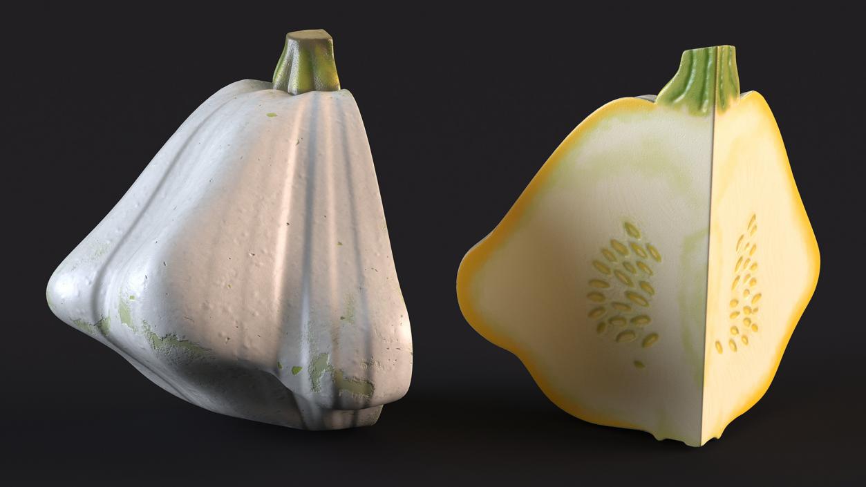 3D Bush Pumpkin Quarter White