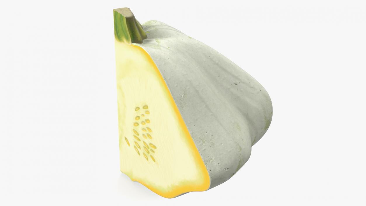 3D Bush Pumpkin Quarter White