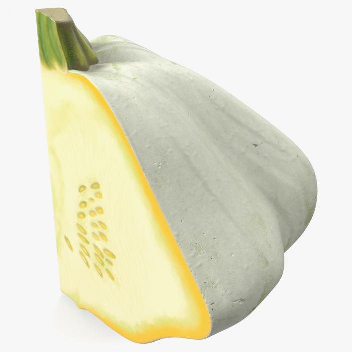 3D Bush Pumpkin Quarter White