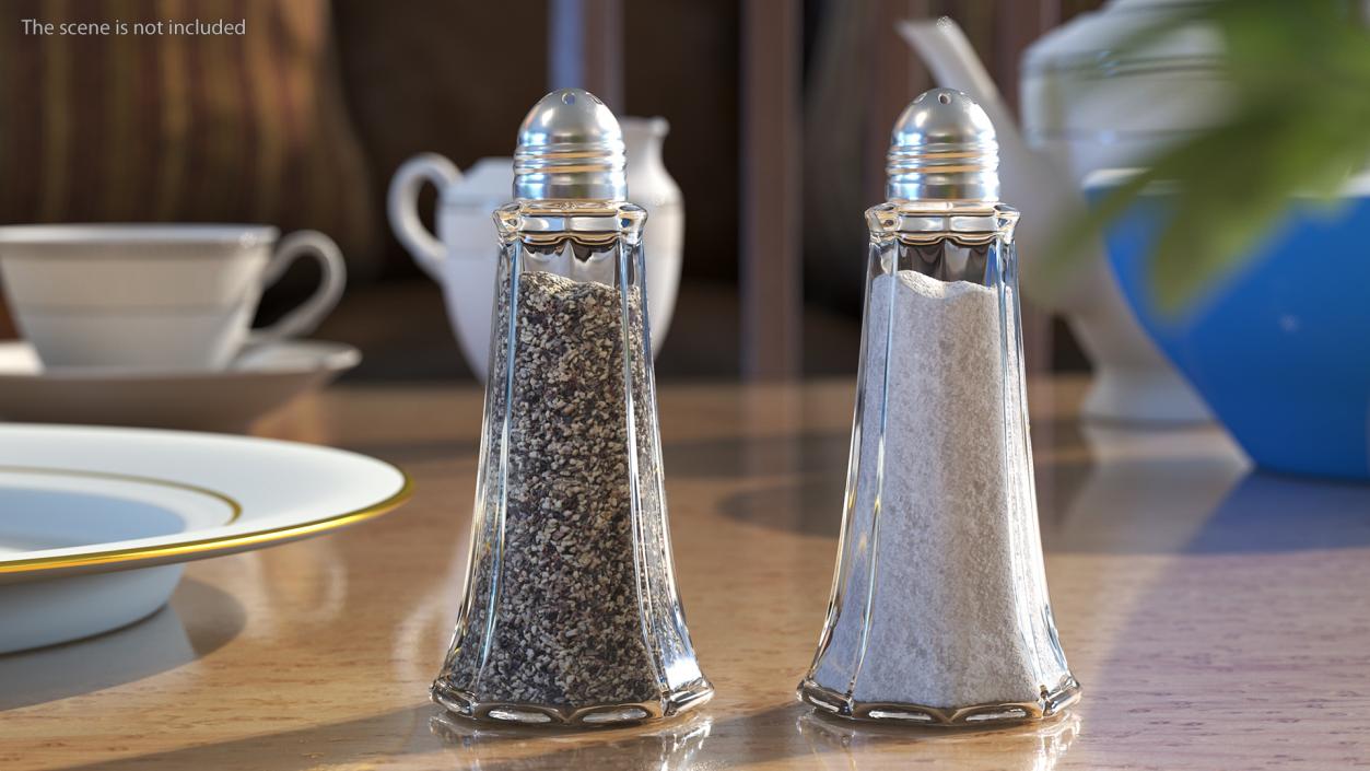 3D Salt and Pepper Shakers model