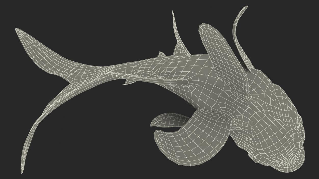 3D model Banggai Cardinalfish