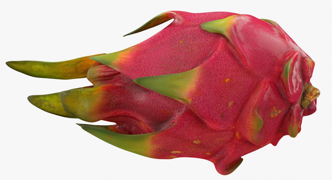 Whole Red Dragon Fruit 3D