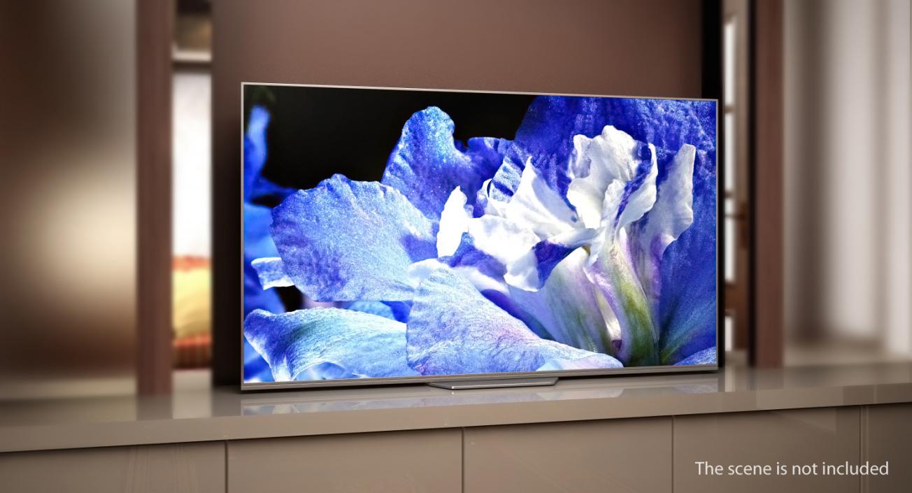 3D 55 OLED TV On model