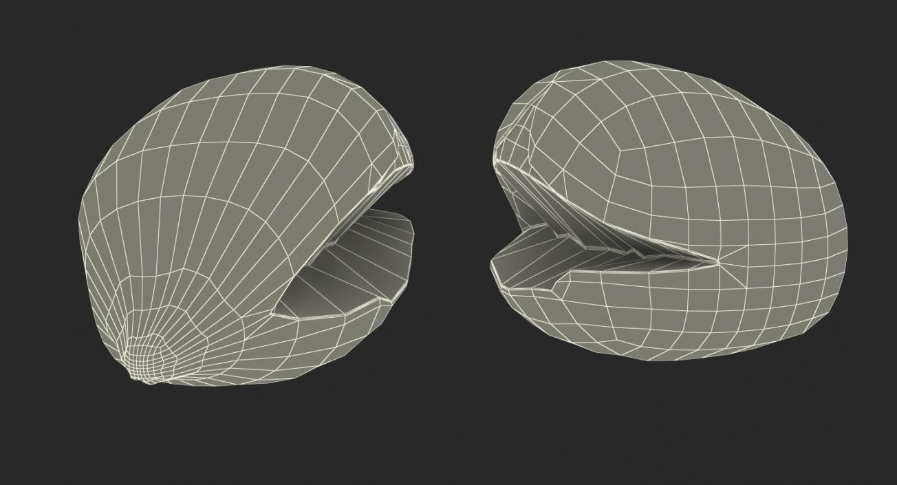 Popcorn Kernel 3D model