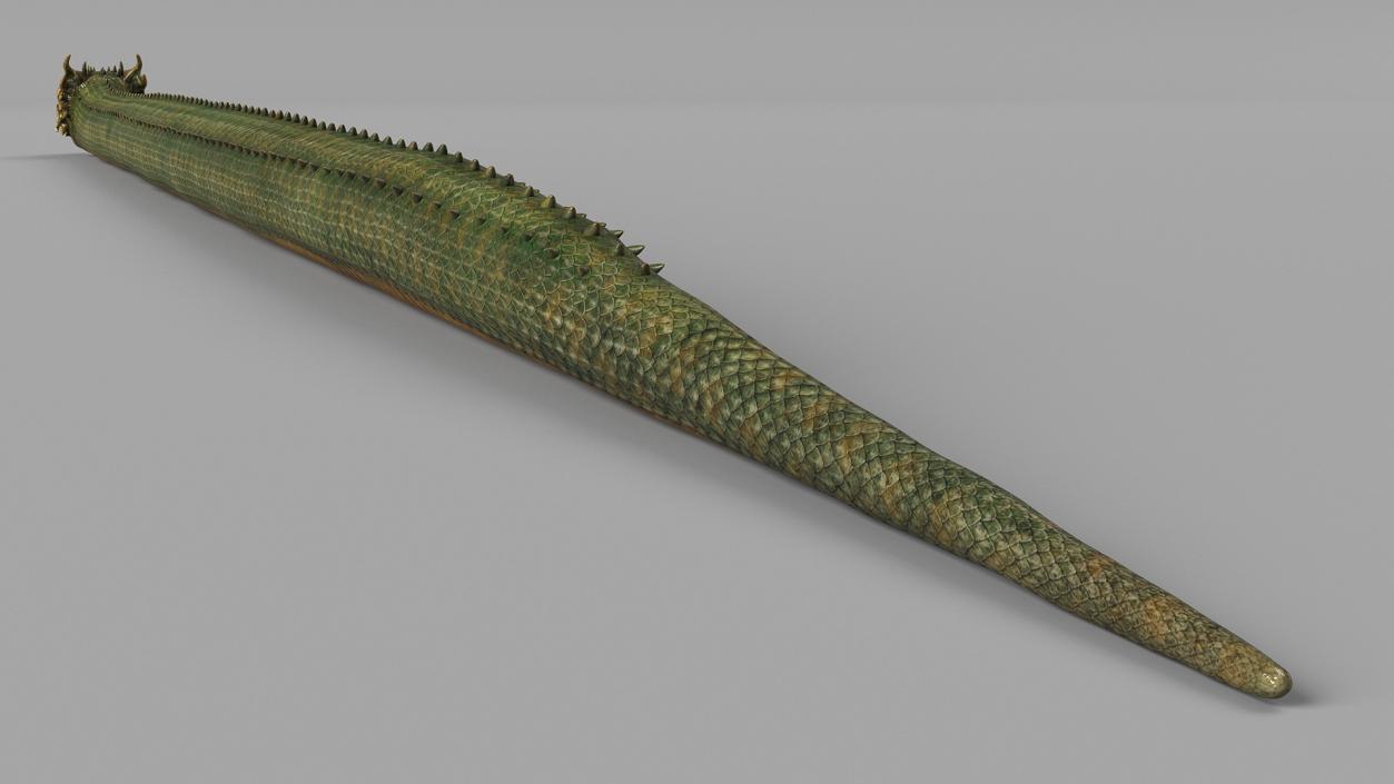 3D Mythical Serpentine Dragon 2 model