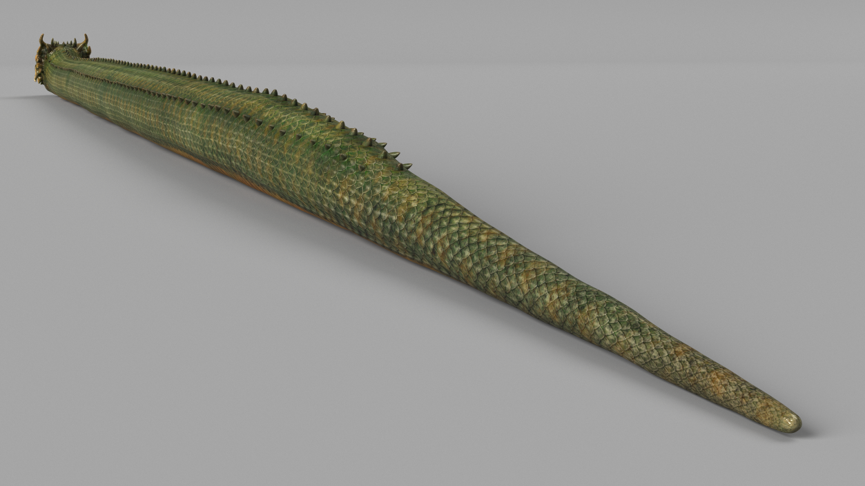 3D Mythical Serpentine Dragon 2 model