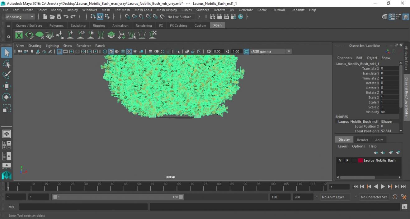 Laurus Nobilis Bush 3D model