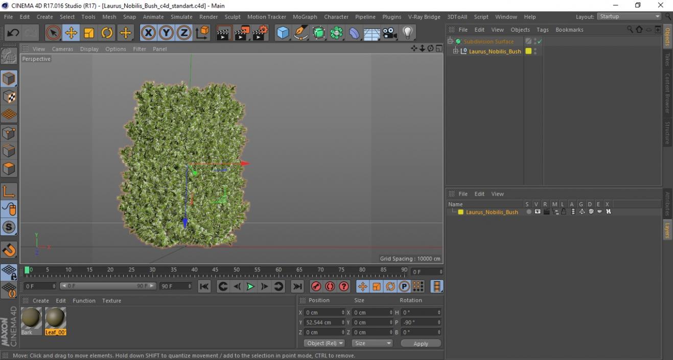 Laurus Nobilis Bush 3D model