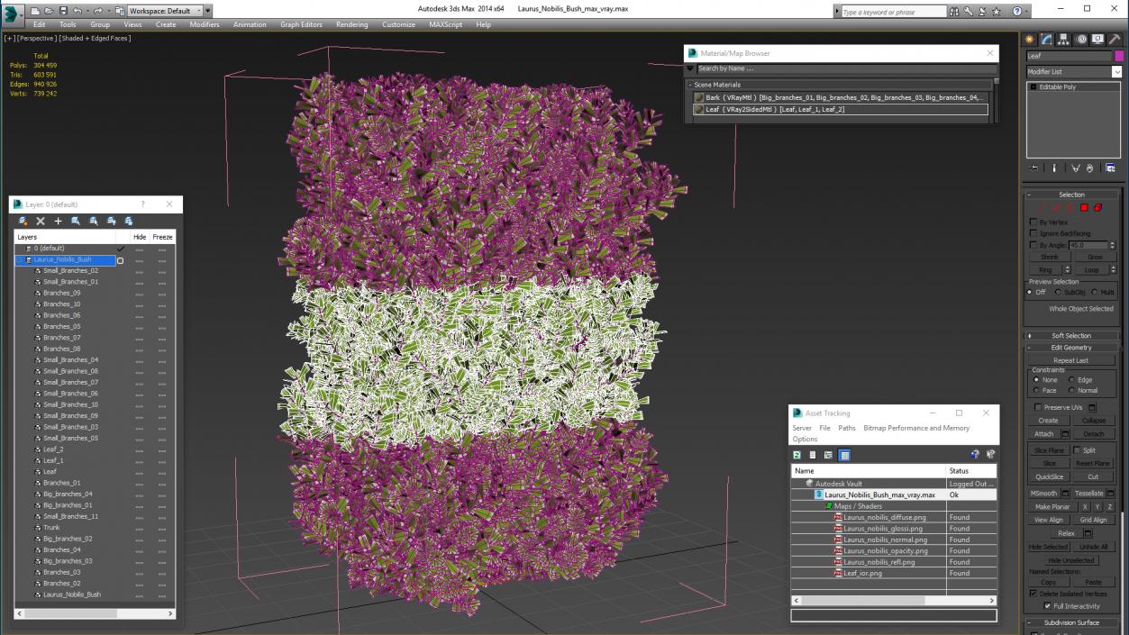 Laurus Nobilis Bush 3D model