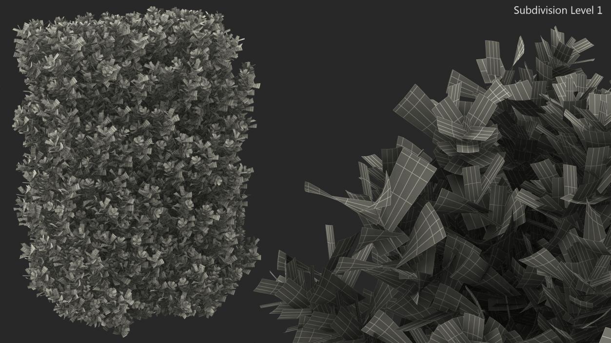 Laurus Nobilis Bush 3D model