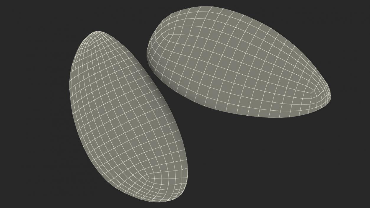 Hard Boiled Egg Quarters 3D model