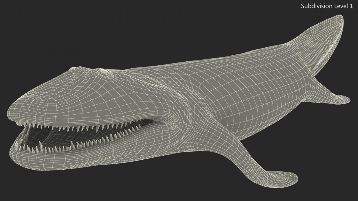 Tiktaalik Extinct Sarcopterygian 3D