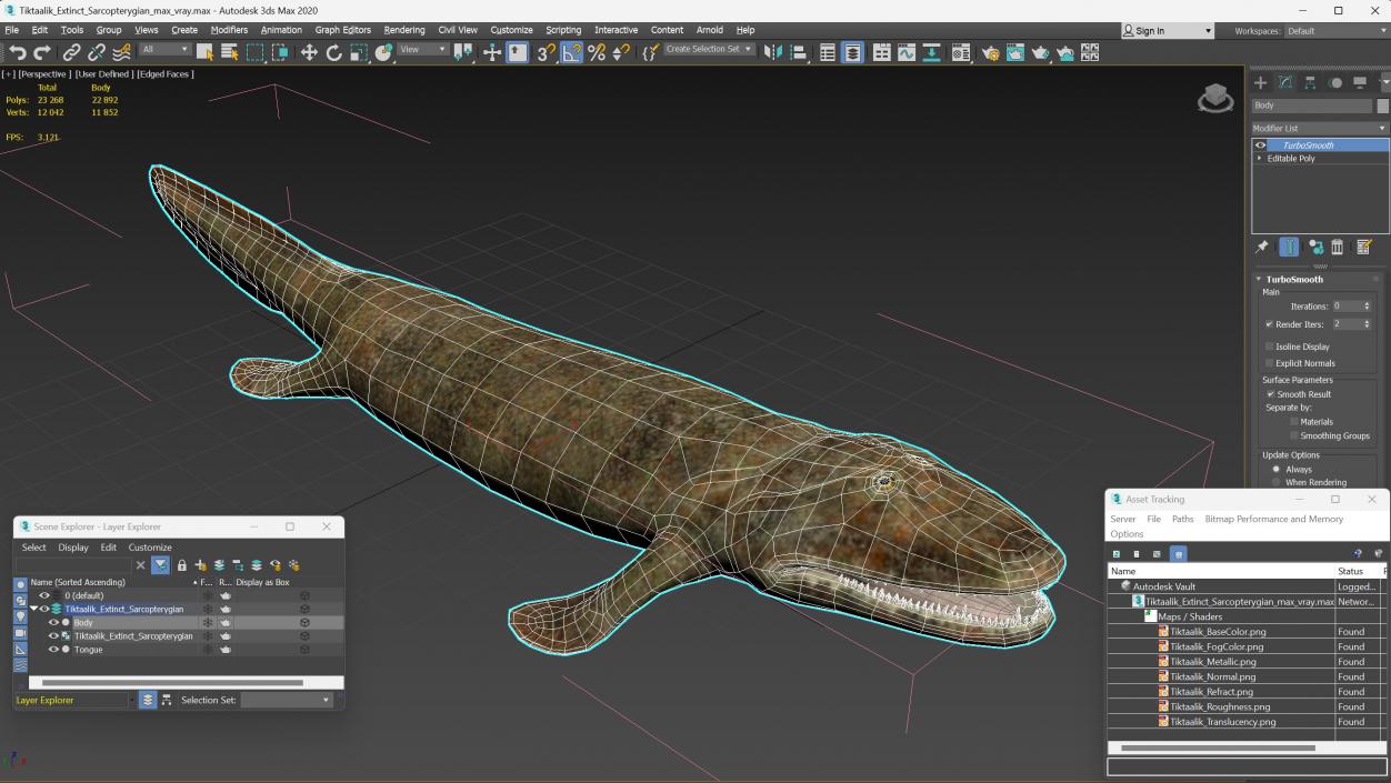 Tiktaalik Extinct Sarcopterygian 3D