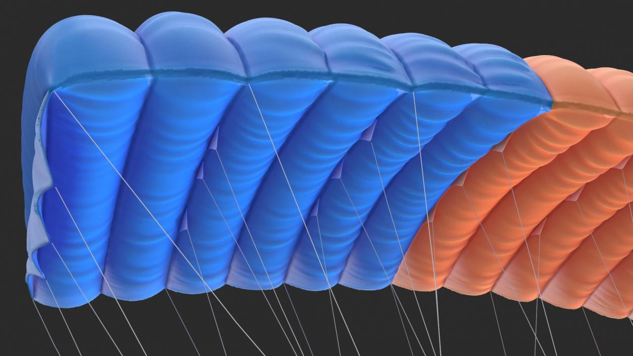 Ram Air Parachute 3D