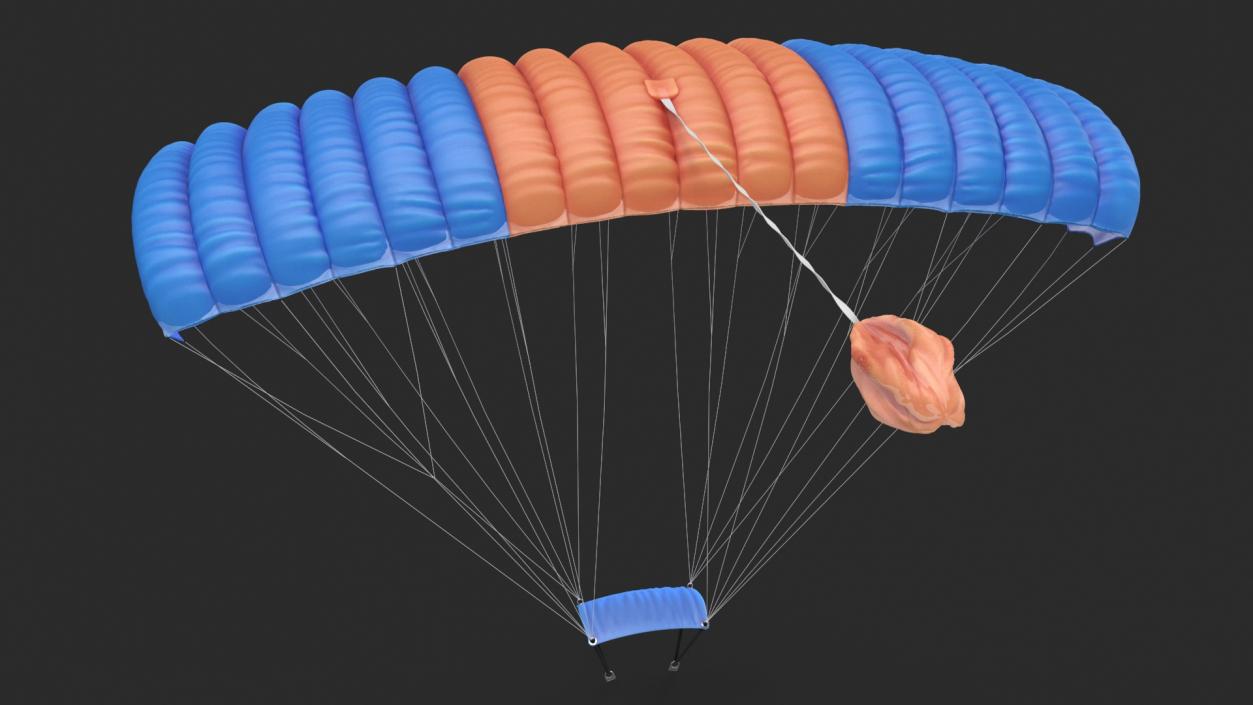 Ram Air Parachute 3D