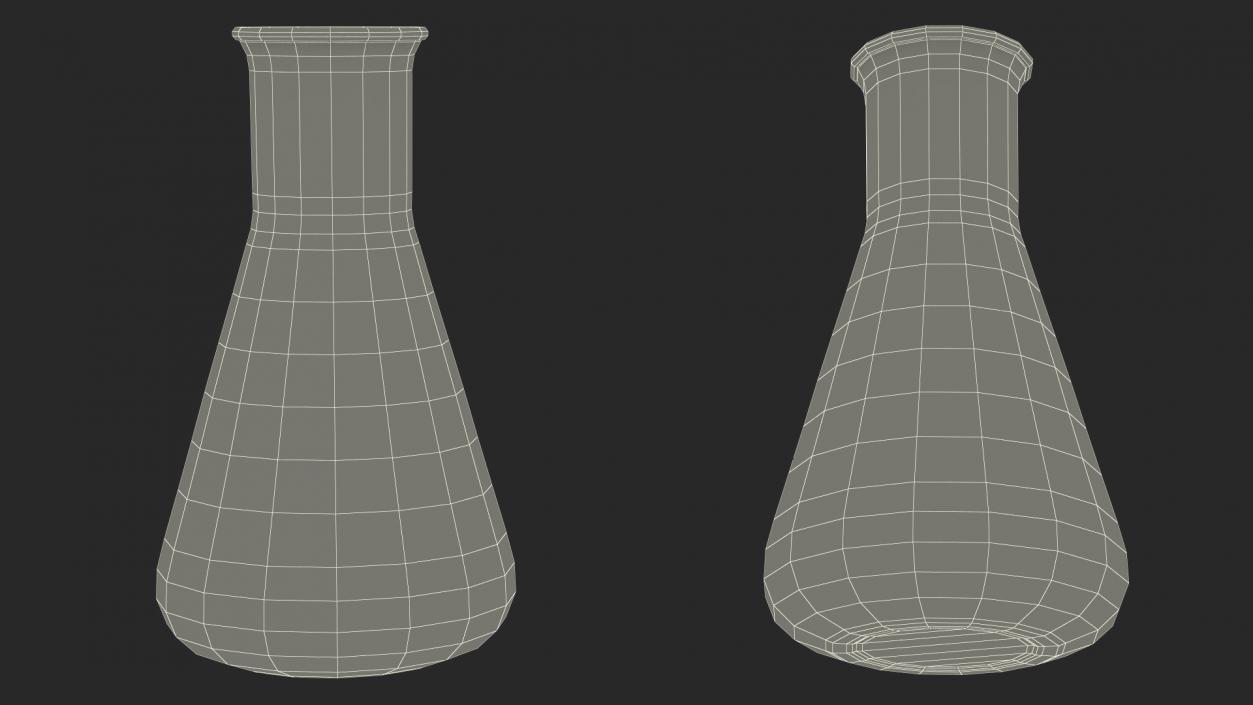 3D Conical Flask 50ml model