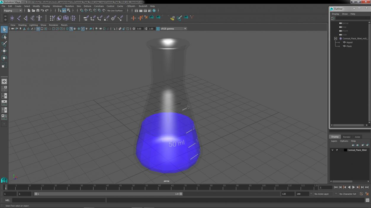 3D Conical Flask 50ml model