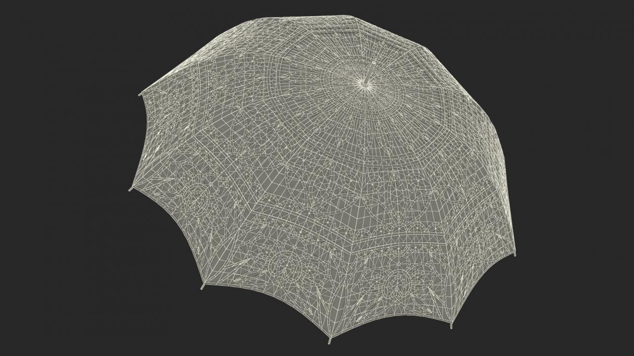 3D Cotton Lace Parasol Umbrella model