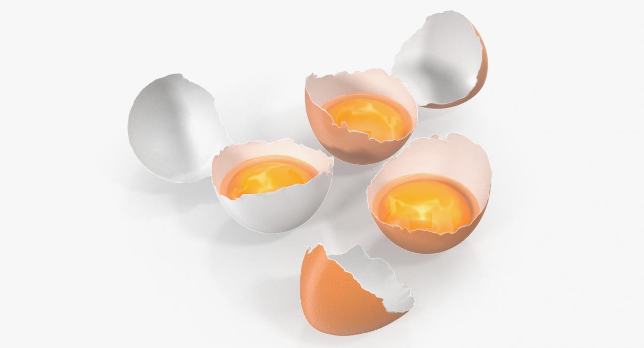 Broken Chicken Eggs 3D model