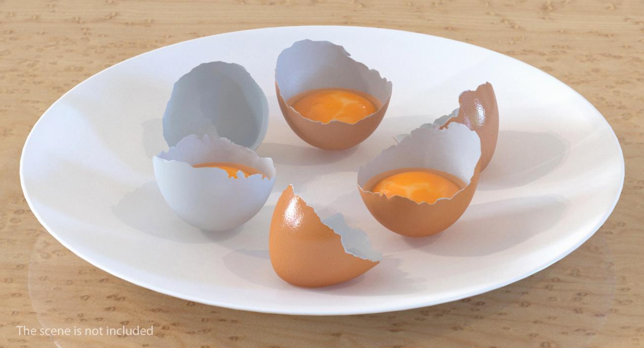 Broken Chicken Eggs 3D model