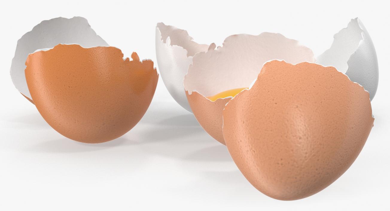 Broken Chicken Eggs 3D model