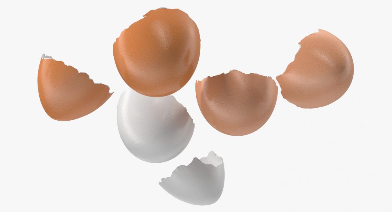 Broken Chicken Eggs 3D model