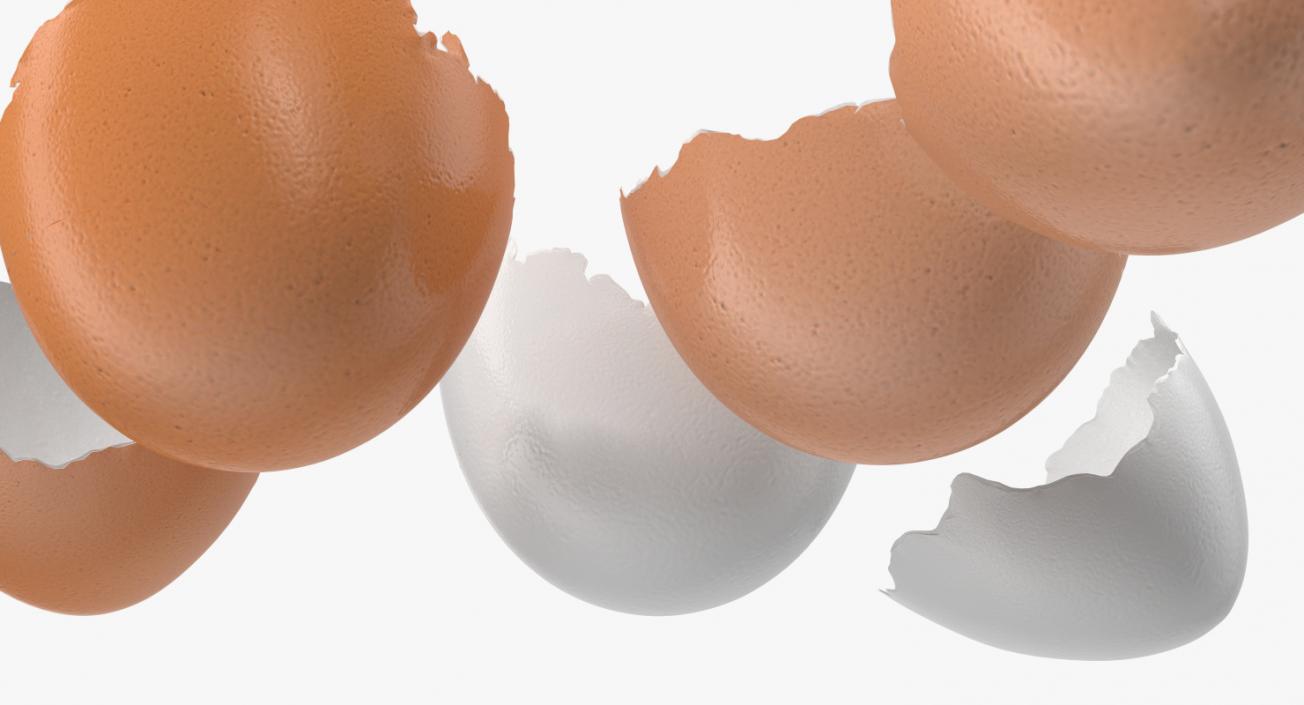 Broken Chicken Eggs 3D model