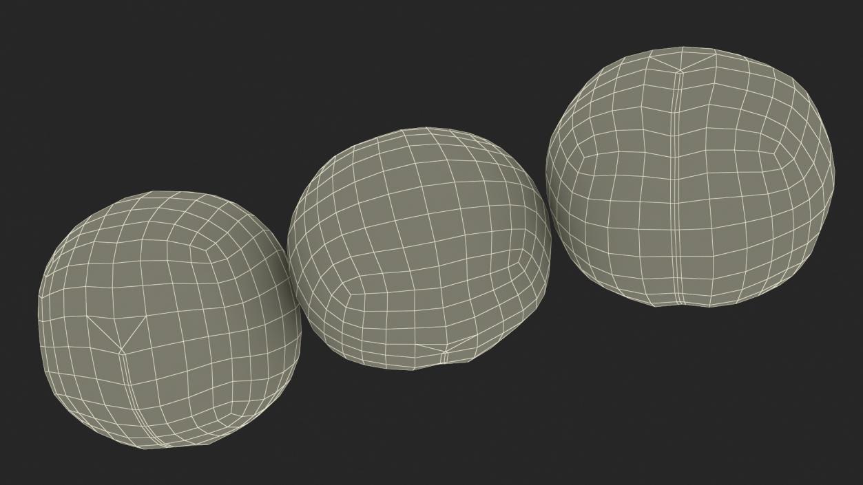 3D Macadamia Nuts in Shell model